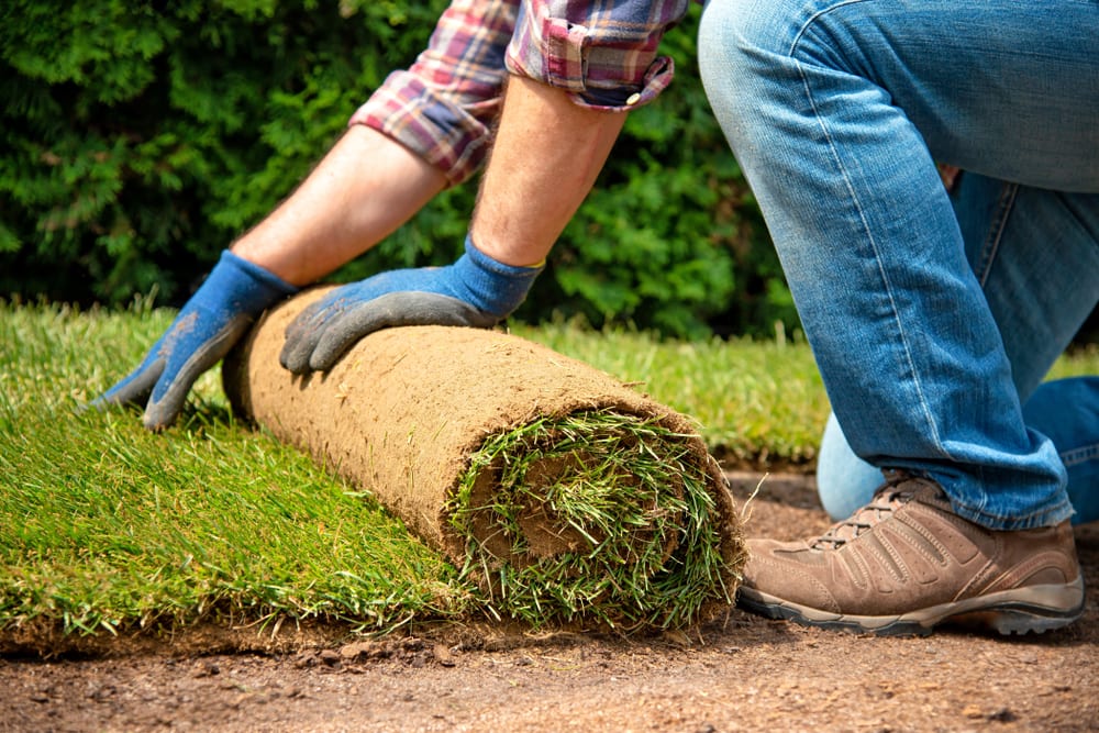 Lincolnton Sod Installation Services